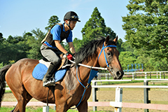 プロから習う騎手受験対策（写真）