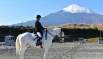 全日本ジュニア馬場馬術大会に山下くんとハクバノイデンシが出場！