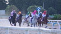 競馬学校の「公開模擬レース」に本校卒業生の田中美海さん・幸大斗くんが出走しました！！