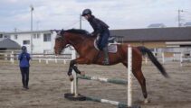月末に行われる、親睦馬術大会に向けて