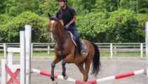 2・3年生の障害飛越試験‼