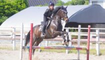 ビギナーズホースショーへ向けて