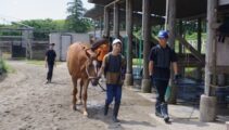 第3回夏期体験合宿がスタート！