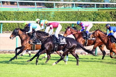 Jra女性騎手 藤田菜七子さんがもうすぐ騎手デビュー インターアクションホースマンスクール 馬の学校 高校サポート校 インターアクションホースマンスクール