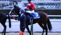 卒業生のJRA北田厩務員の担当馬がG1「朝日杯FS」に出走！